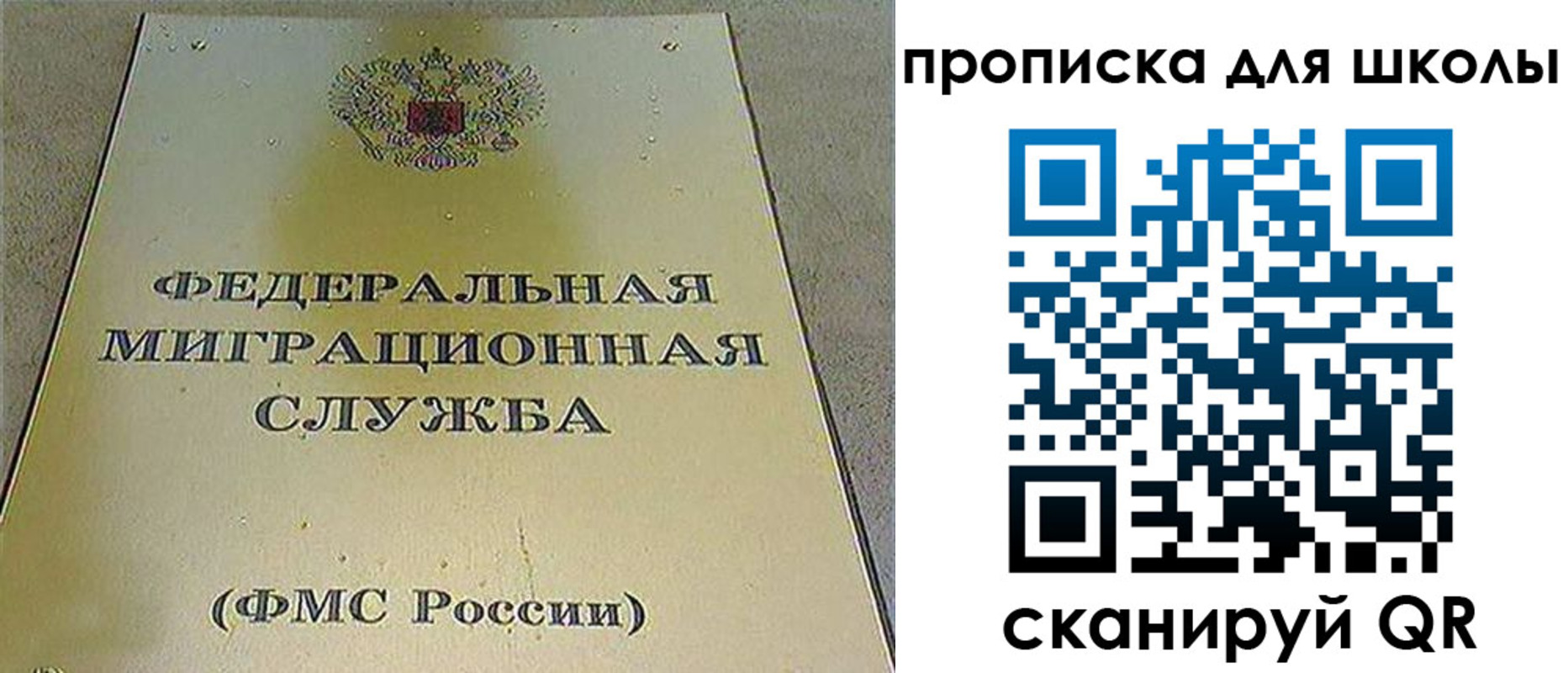прописка гарантия в Новосибирске